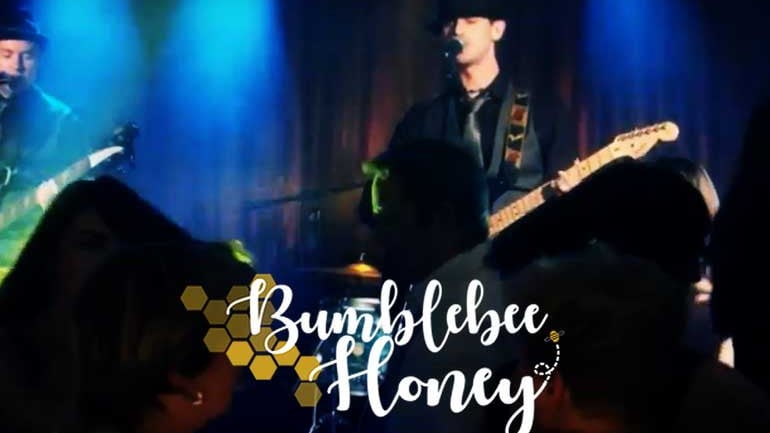 Bumblebee Honey Featured Photo | Hooley!