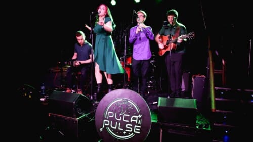 Puca Pulse Featured Photo